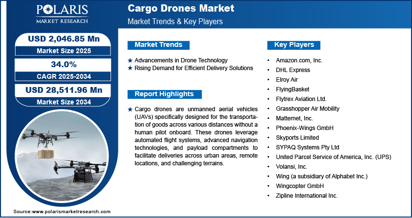 Cargo Drones Market Size